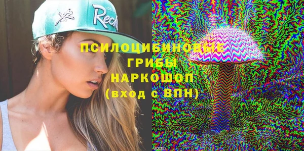 МДПВ Алзамай