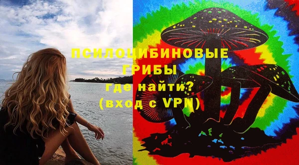 МДПВ Алзамай