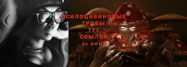 амф Алексин