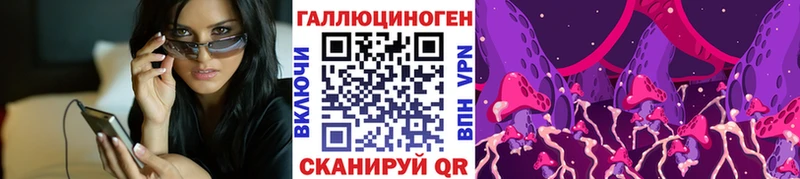 Псилоцибиновые грибы Psilocybine cubensis Осинники